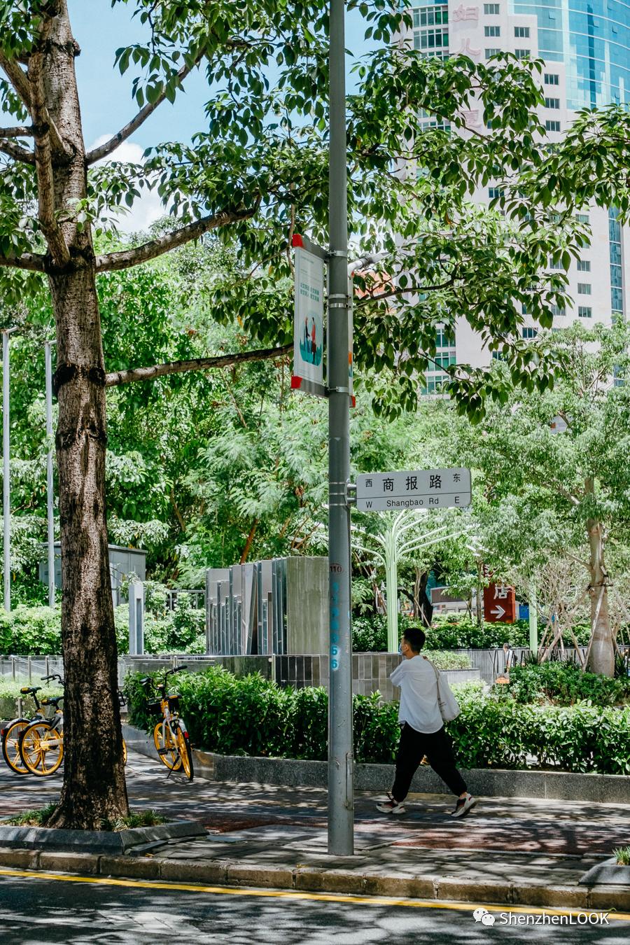 LOOK|这，就是景田