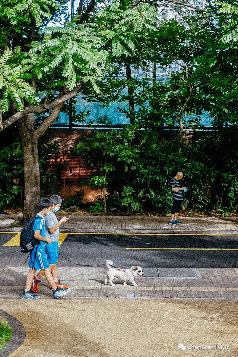 LOOK|这，就是景田