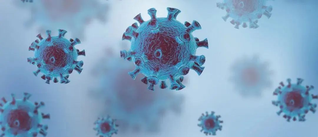 新冠疫情案例分析,新冠疫情防控案例分析报告