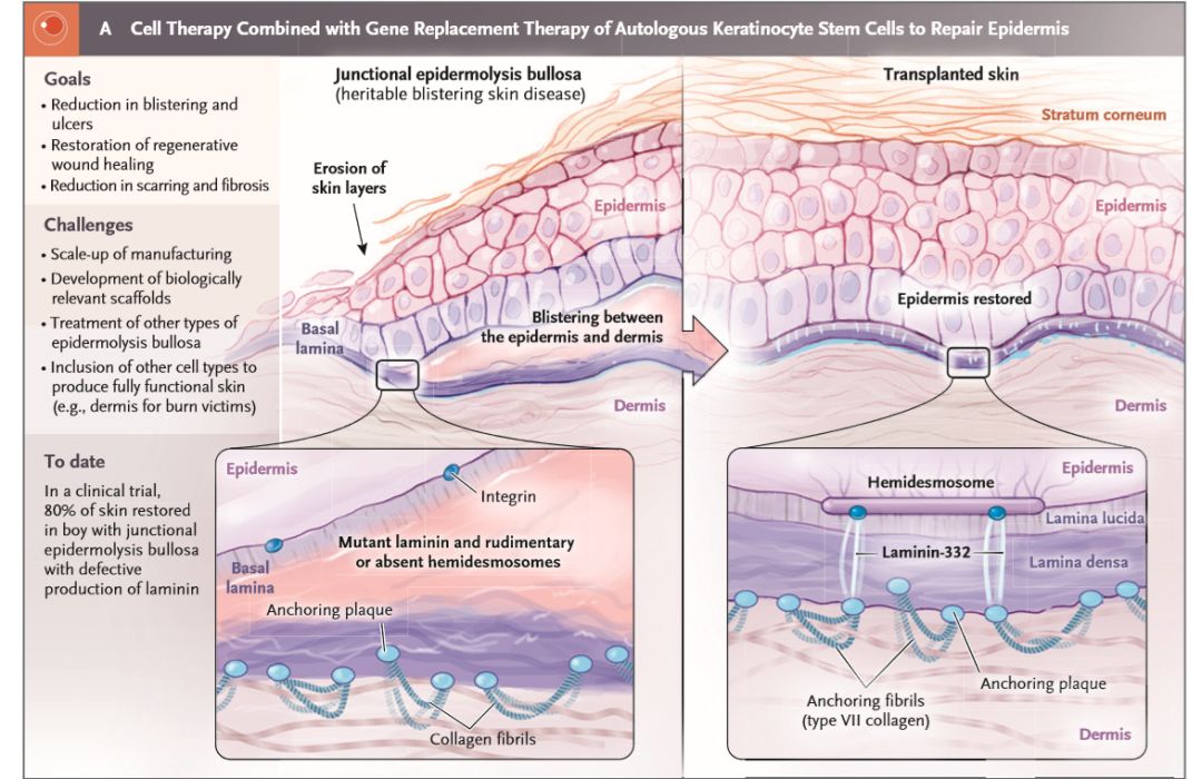 谁持彩练当空舞的出处,谁持彩练当空舞出自哪里
