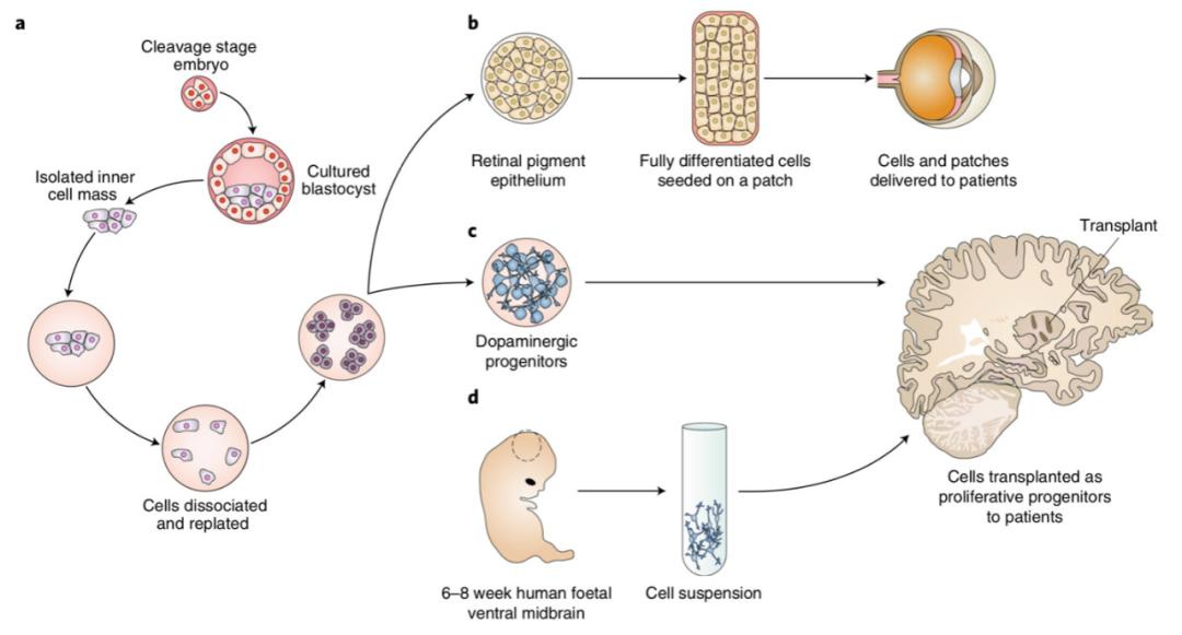 谁持彩练当空舞的出处,谁持彩练当空舞出自哪里