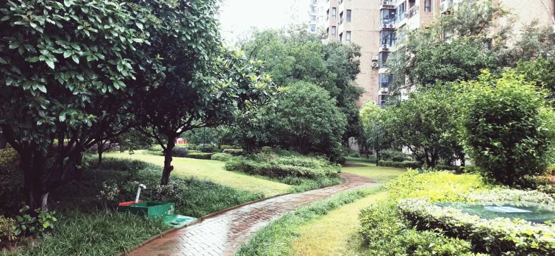 南京宝藏房子,南京的宝藏小区