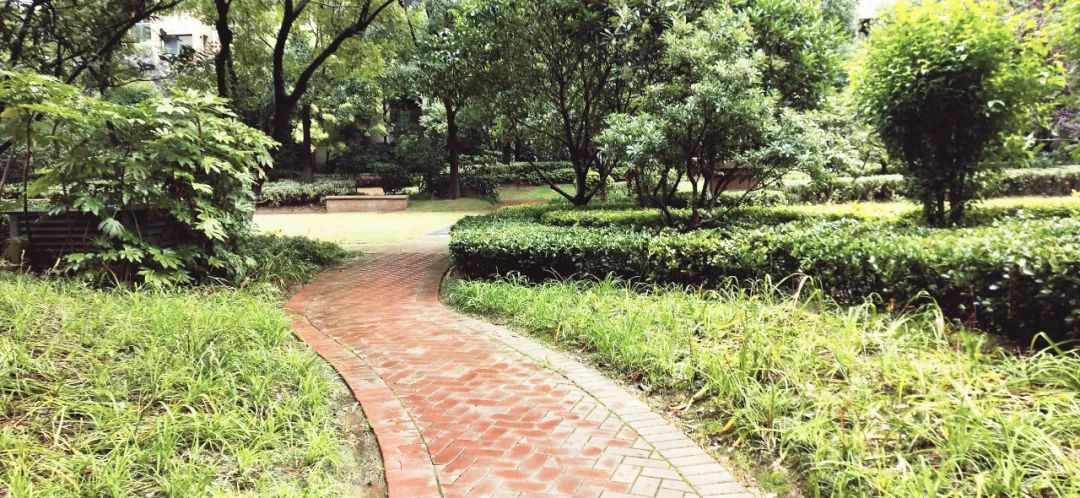 南京宝藏房子,南京的宝藏小区