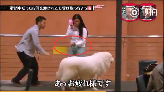 日本综艺奇怪美食,日本综艺奇葩搞笑