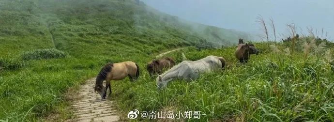中国十大最美海岛旅游景点,国内十大最美海岛