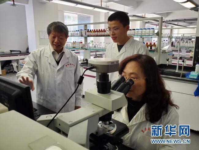 抢滩新基建⑦｜筑牢“科学地基”，突破基础研究“卡脖子”瓶颈