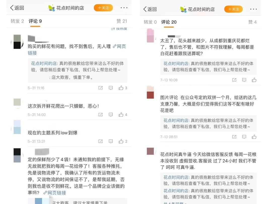 99包月的白菜价鲜花，你买过吗？