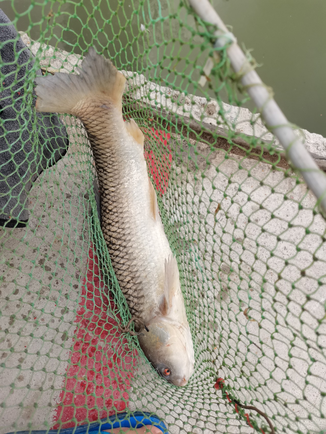 手持两米七神戟，瞎搞高田坑一天