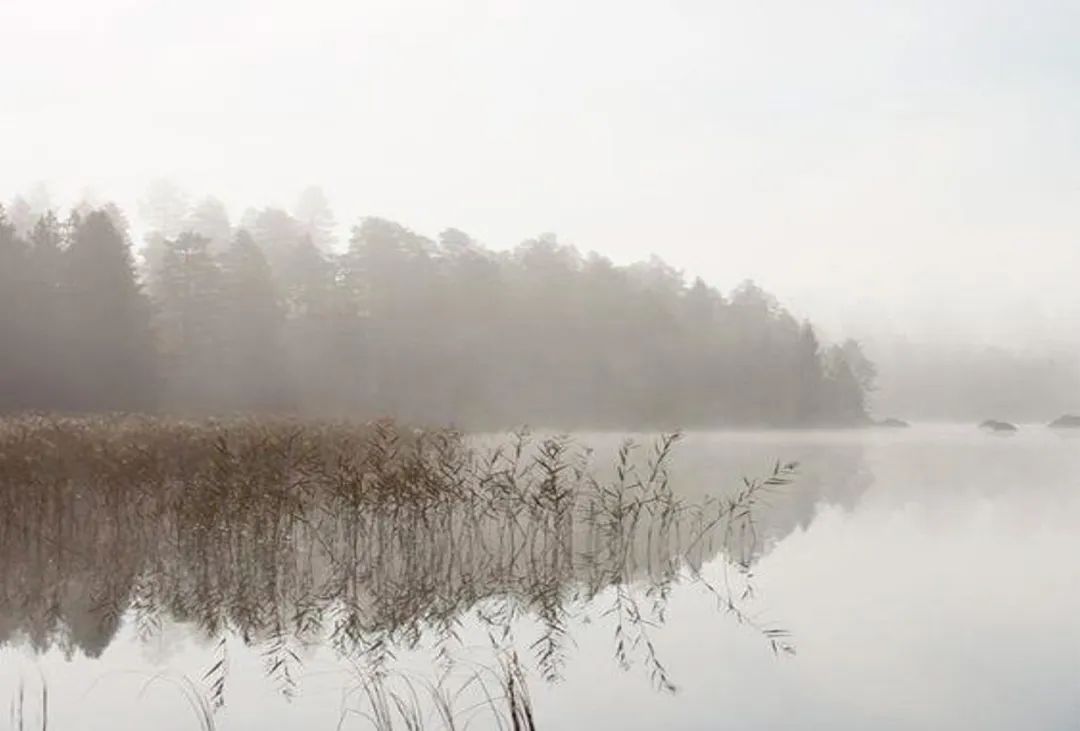 布鲁盟室内设计收费,布鲁盟设计工作室