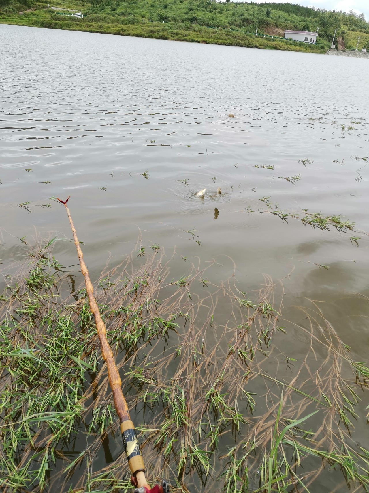玩了多年的并继和碳素竿，总是在不断的折腾和寻找