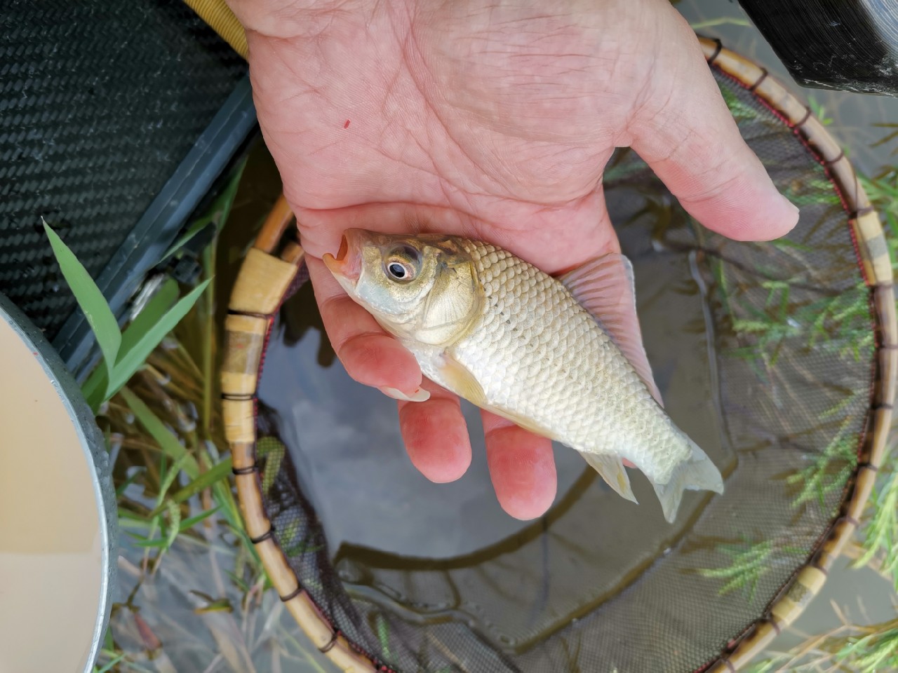 玩了多年的并继和碳素竿，总是在不断的折腾和寻找