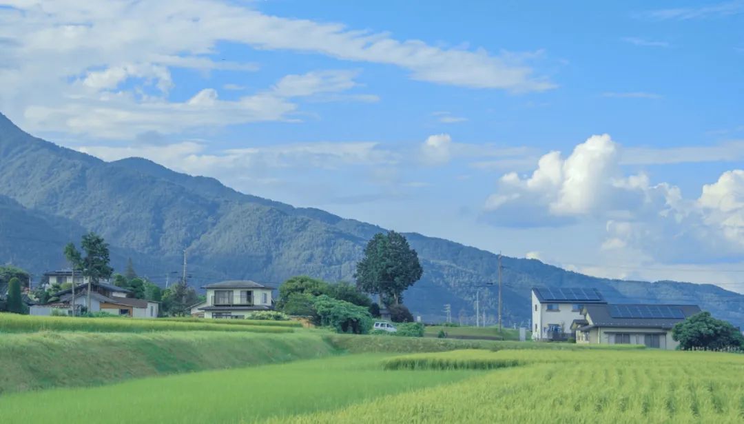 大禹转债的正股是什么,大禹节水股票可转债