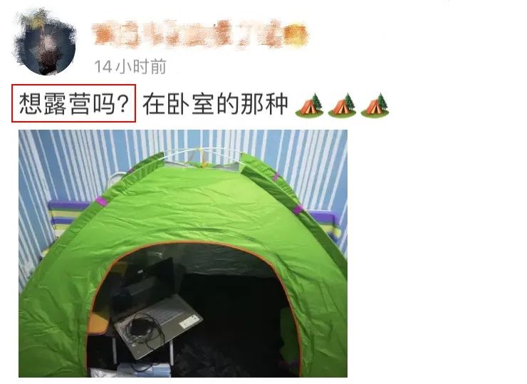 成都周边森林露营看萤火虫,成都周边森林公园露营