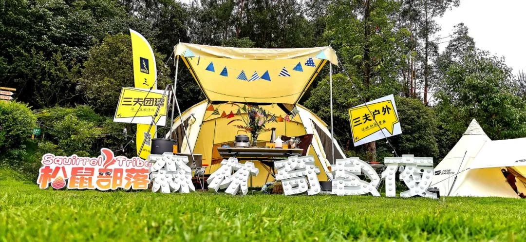 成都周边森林露营看萤火虫,成都周边森林公园露营