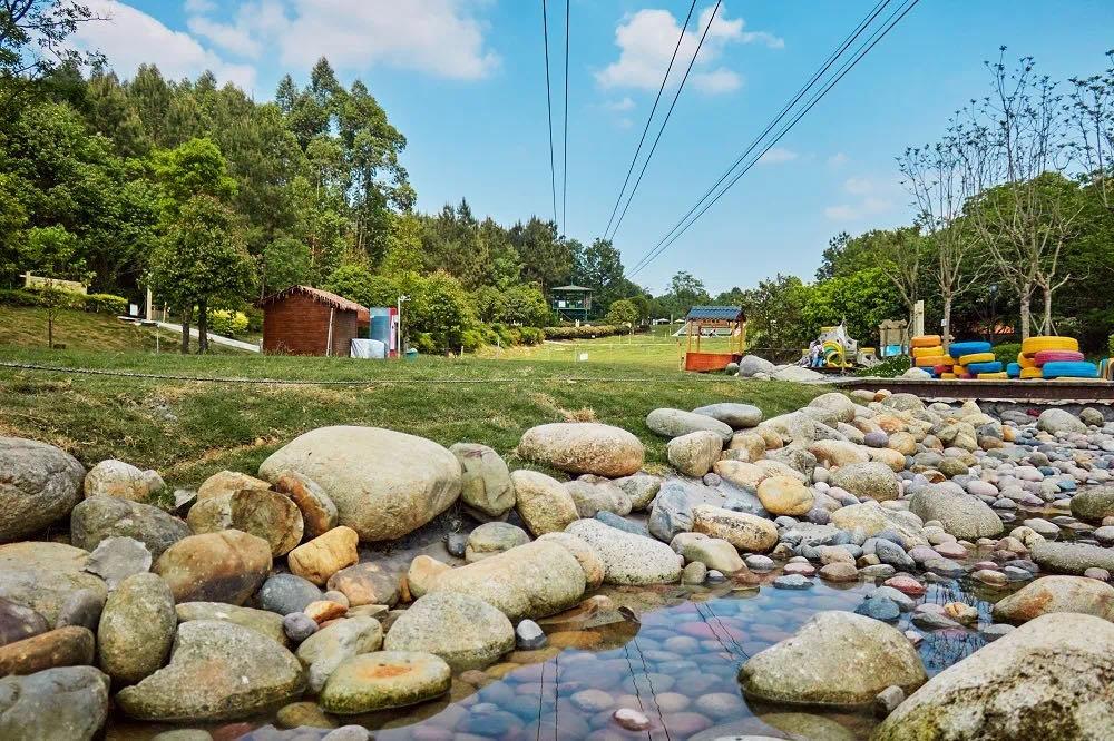 成都周边森林露营看萤火虫,成都周边森林公园露营