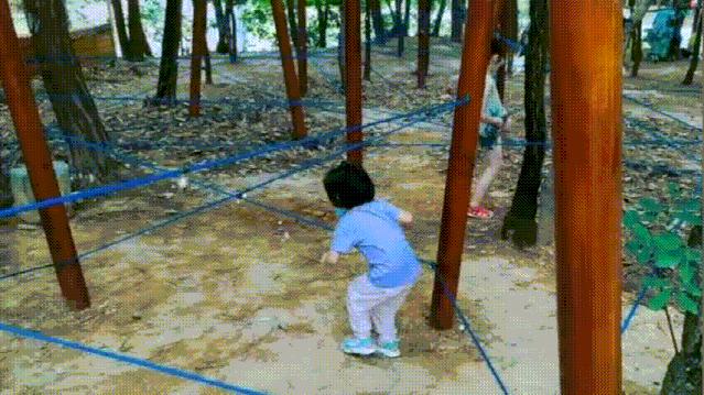 成都周边森林露营看萤火虫,成都周边森林公园露营