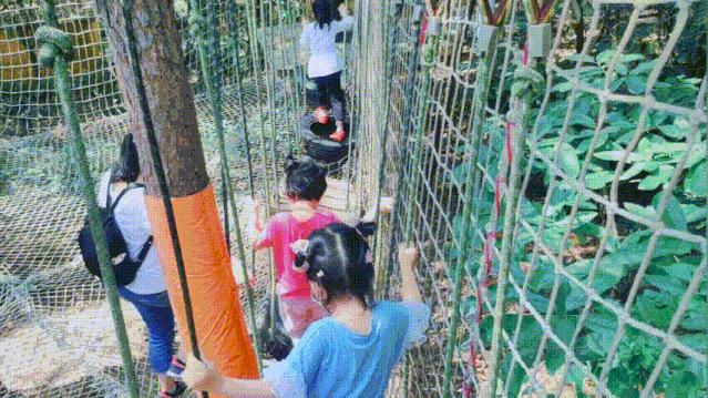 成都周边森林露营看萤火虫,成都周边森林公园露营