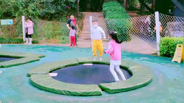 成都周边森林露营看萤火虫,成都周边森林公园露营