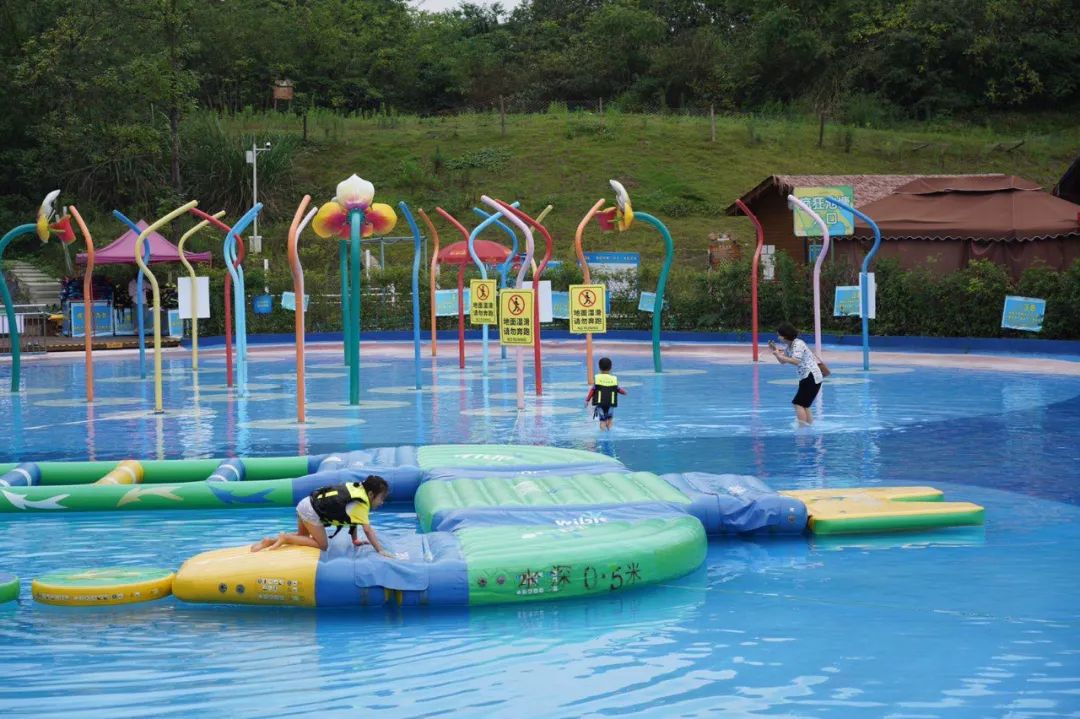 成都周边森林露营看萤火虫,成都周边森林公园露营