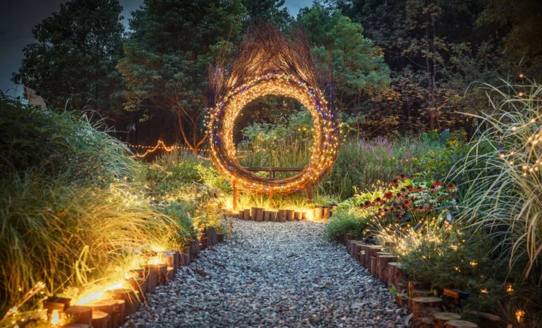 成都周边森林露营看萤火虫,成都周边森林公园露营