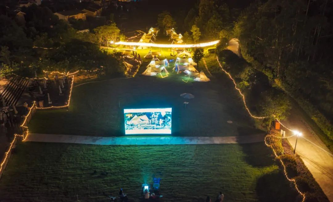 成都周边森林露营看萤火虫,成都周边森林公园露营