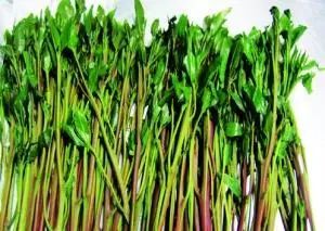 善良司法丨惩恶绝不手软，马尾区检察院严厉打击一起通过快递邮寄贩卖*品毒**案件