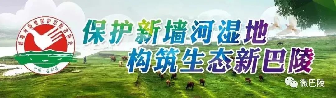 岳阳县八中小升初名单,八中摇号结果怎么看