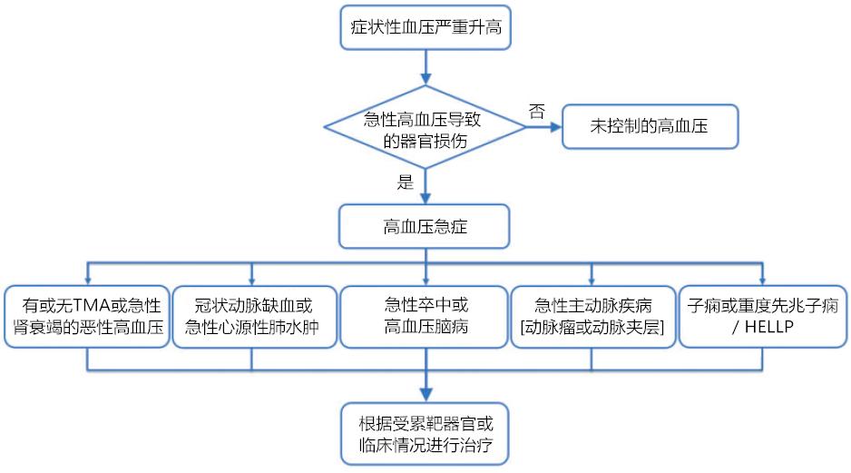 高血压降压药物分类及代表药物,高血压急症时快速降压的药物
