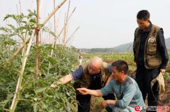 640多名队员扎根乡村服务群众——兴宾区：打造扶贫“五星级工作队”