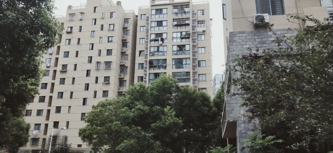 涨幅低、环境一般，南京这个地铁口小区成交却“意外”火热