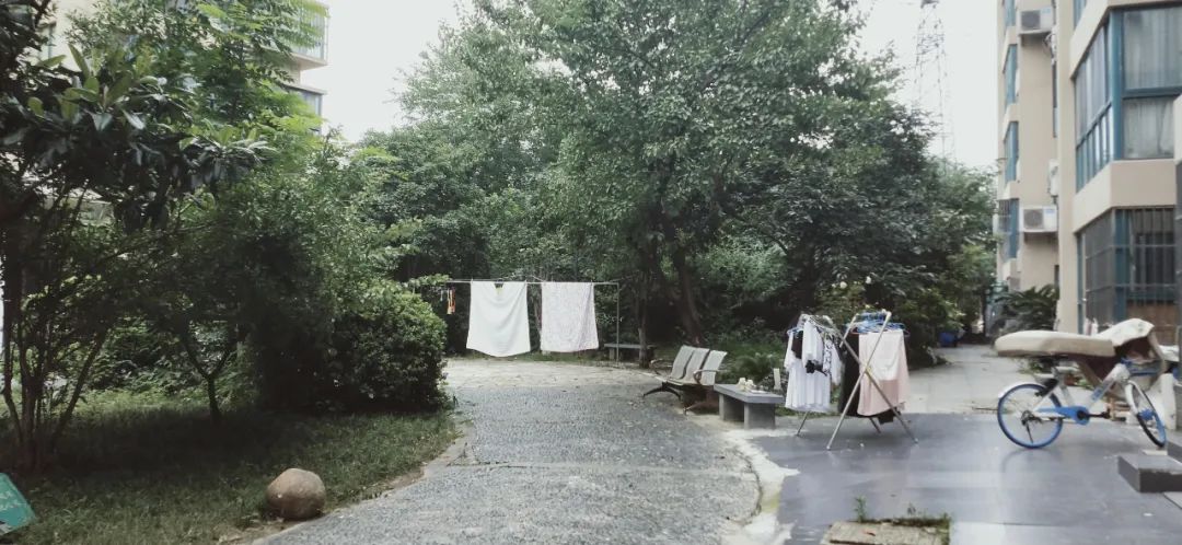 涨幅低、环境一般，南京这个地铁口小区成交却“意外”火热