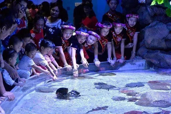 广西极地海洋馆免费吗,广西极地超大海洋馆电话