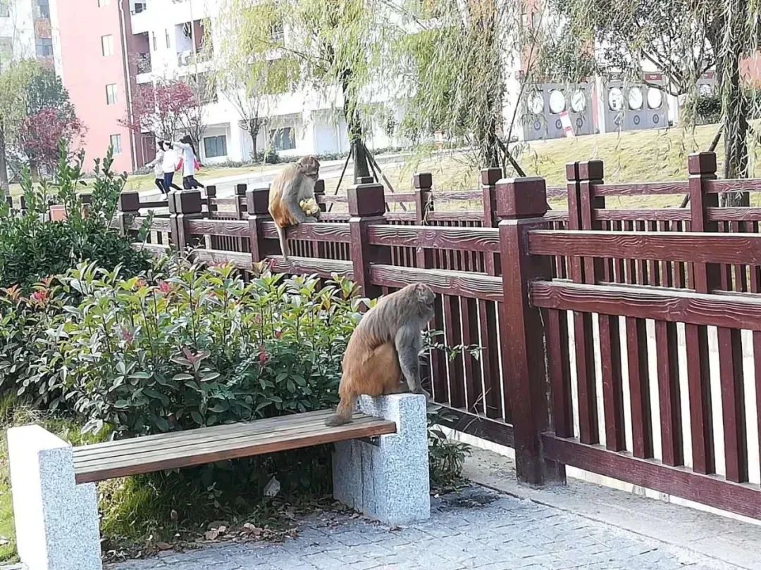 贵州十大高校排行榜,贵州高校介绍