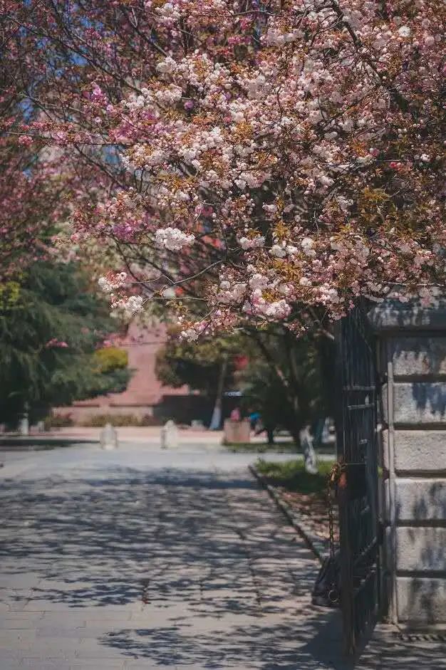 贵州十大高校排行榜,贵州高校介绍