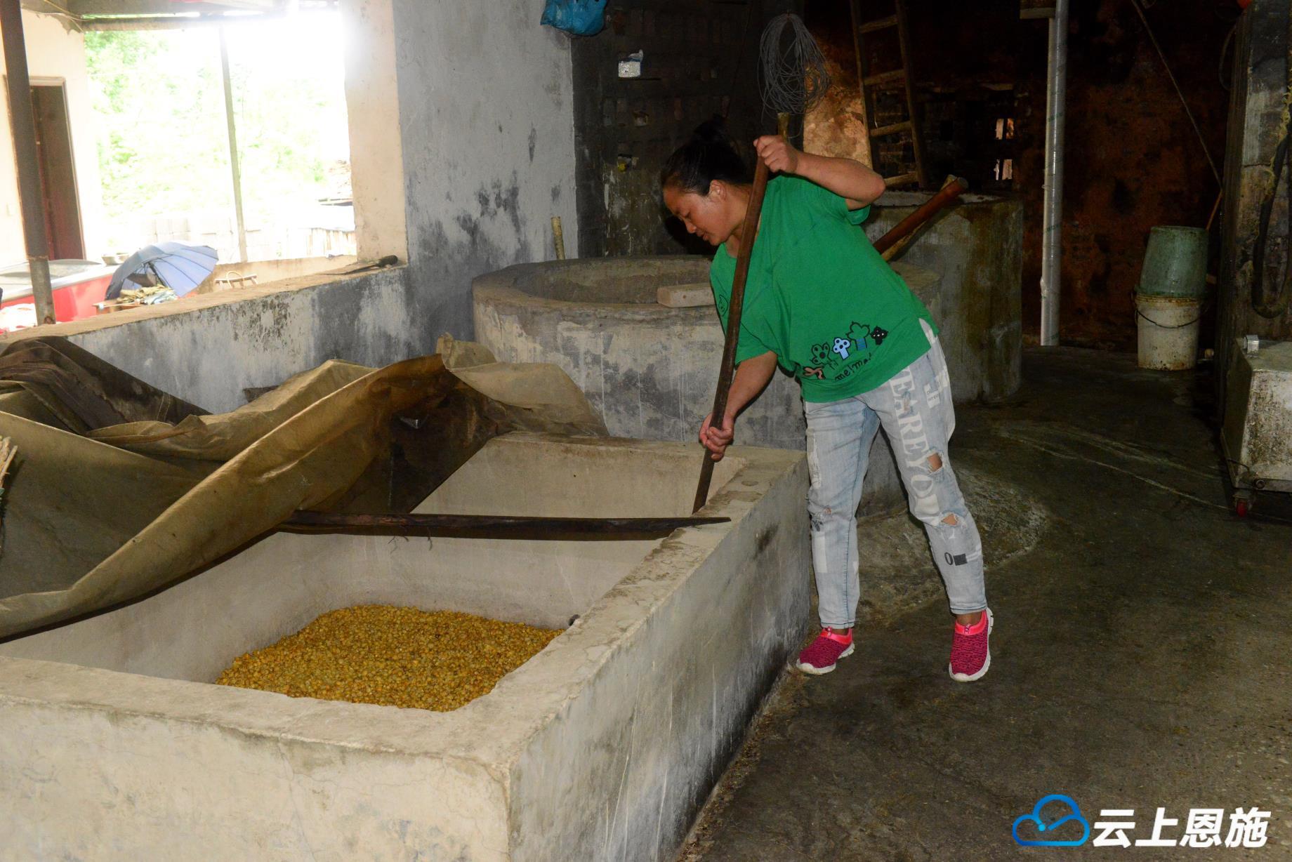 贫困户黄凤：用勤劳双手托起致富梦