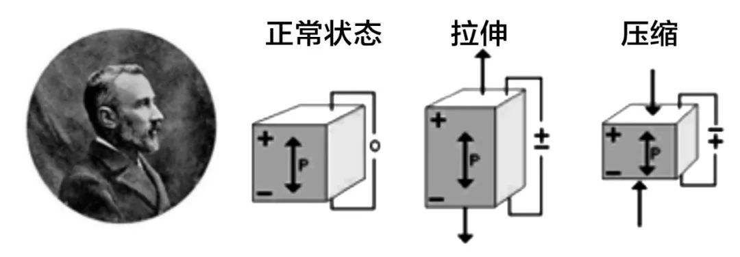 小料视察神秘生物,小料科普大师