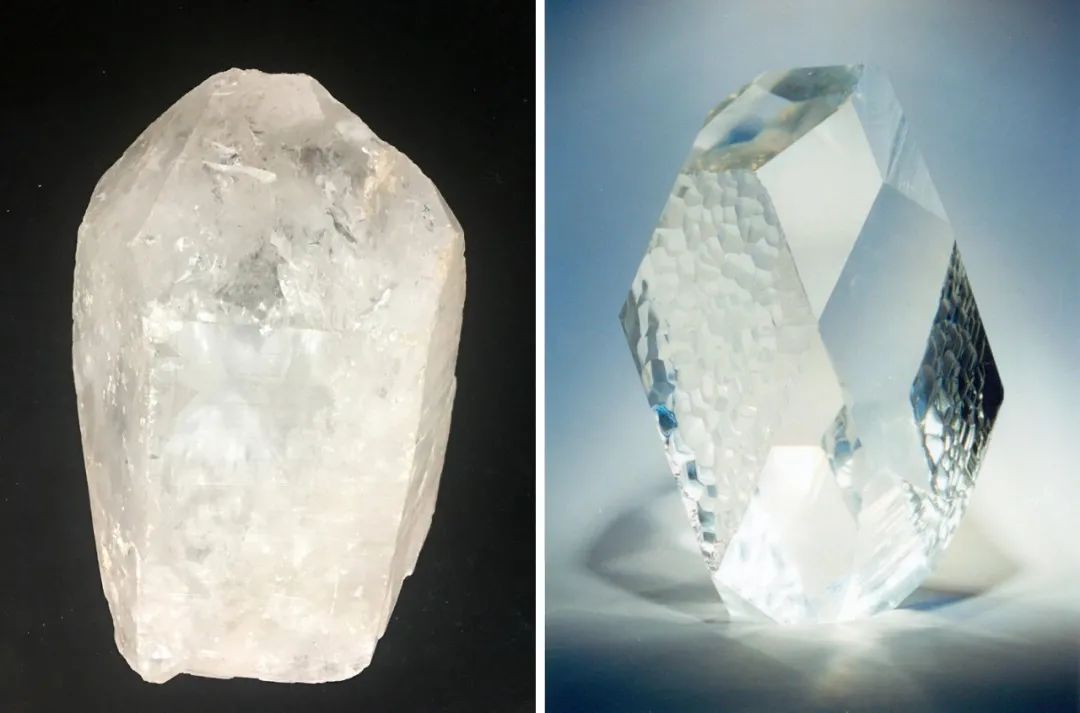 小料视察神秘生物,小料科普大师