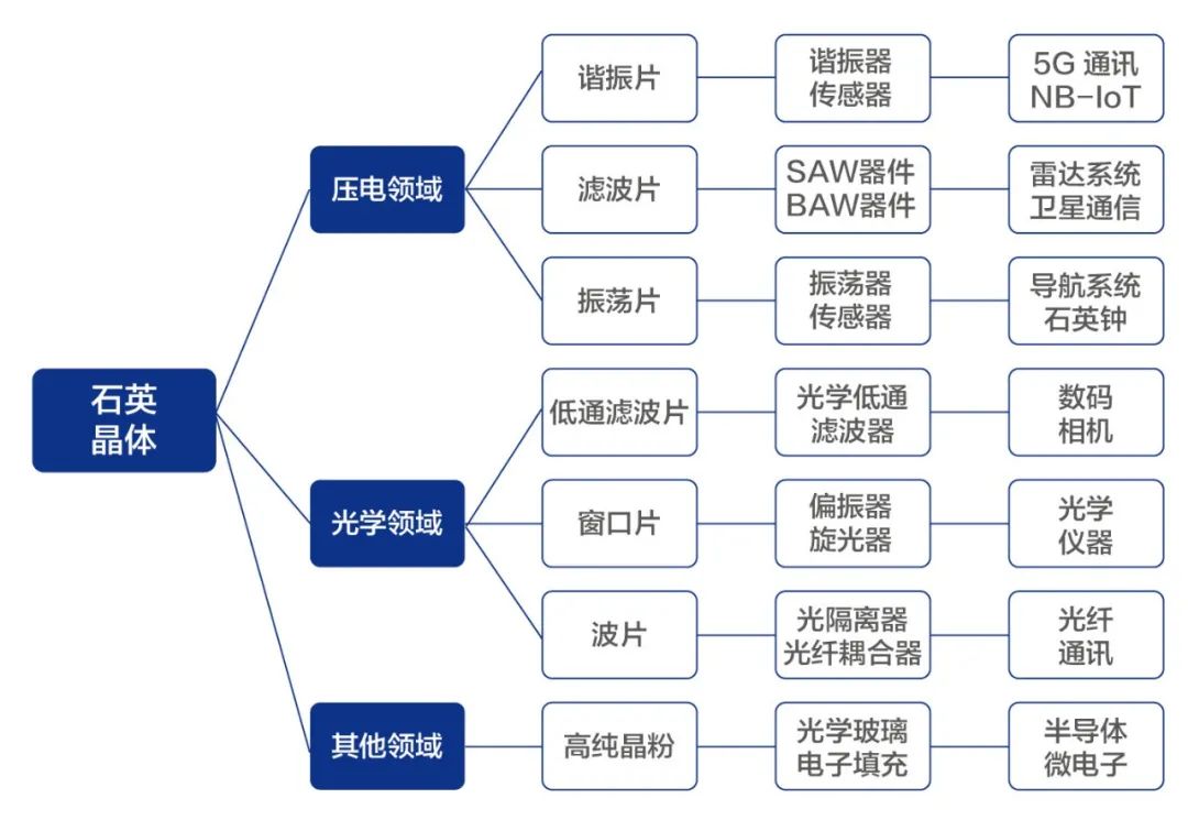 小料视察神秘生物,小料科普大师