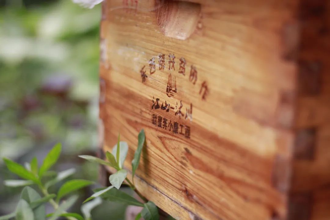 江山蜂产品,江山养蜂技术