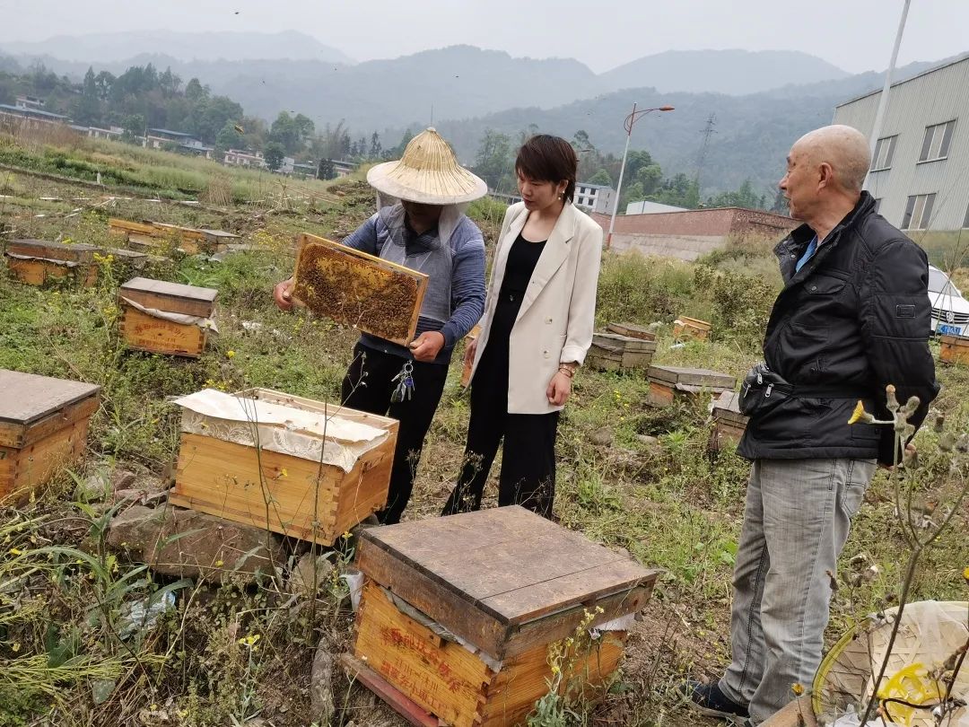 江山蜂产品,江山养蜂技术