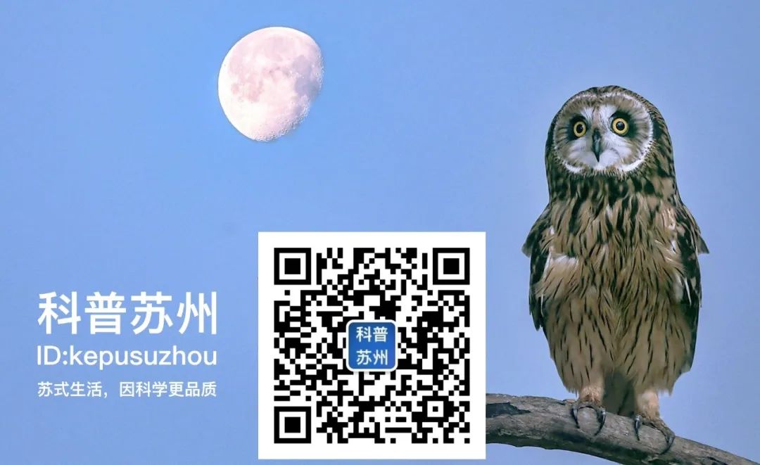 把妈妈粪便喂给新生儿，有助婴儿肠道菌群健康！宝宝：真是我妈一把屎一把尿喂大的……