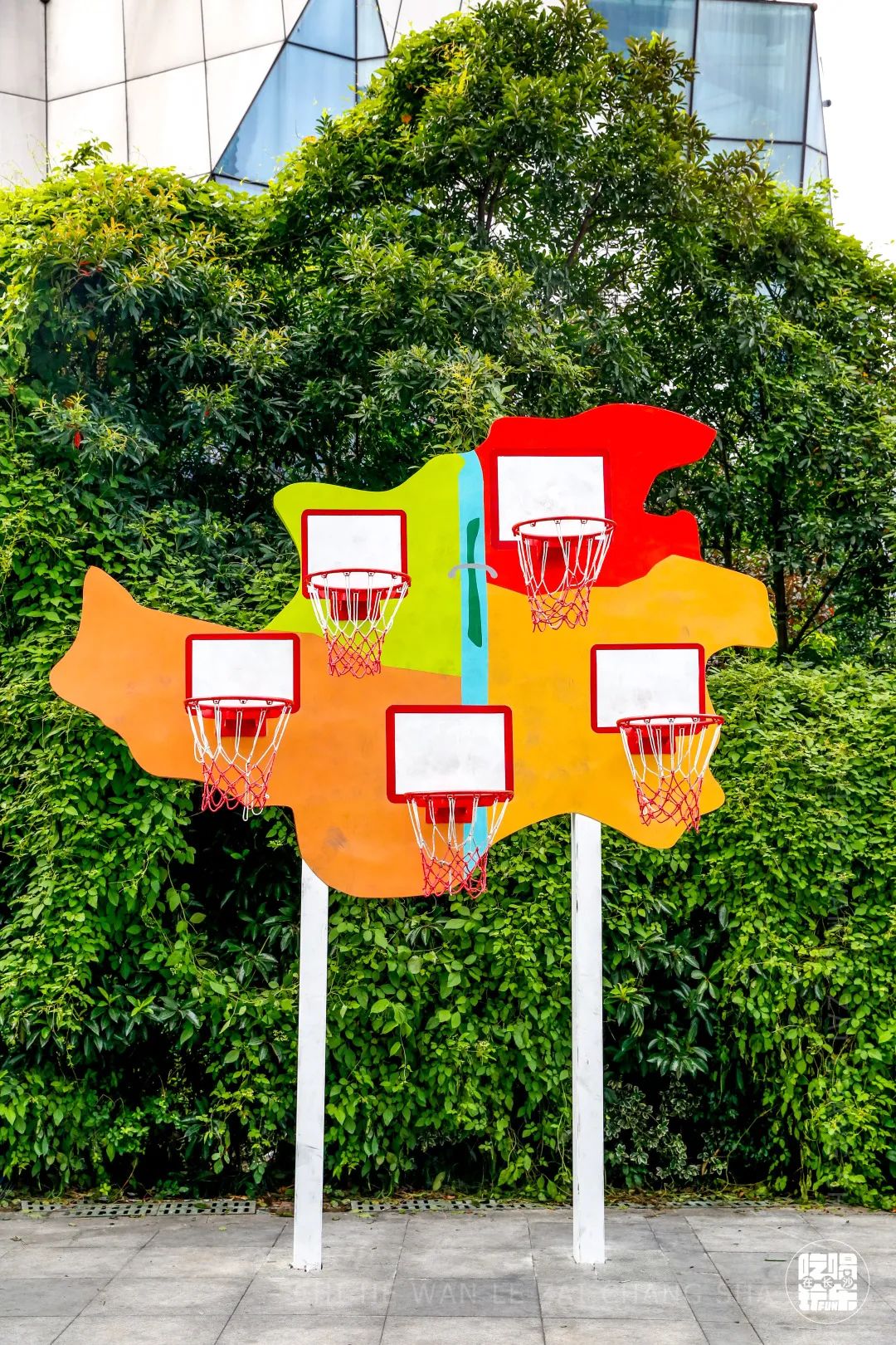 乘风破浪的姐姐们重头出发,乘风破浪的姐姐们要开始重头组团