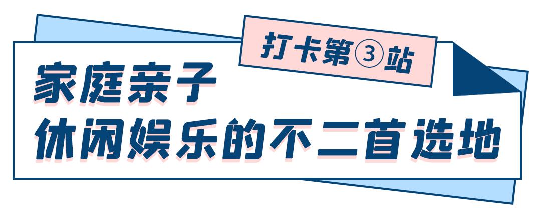 乘风破浪的姐姐们重头出发,乘风破浪的姐姐们要开始重头组团