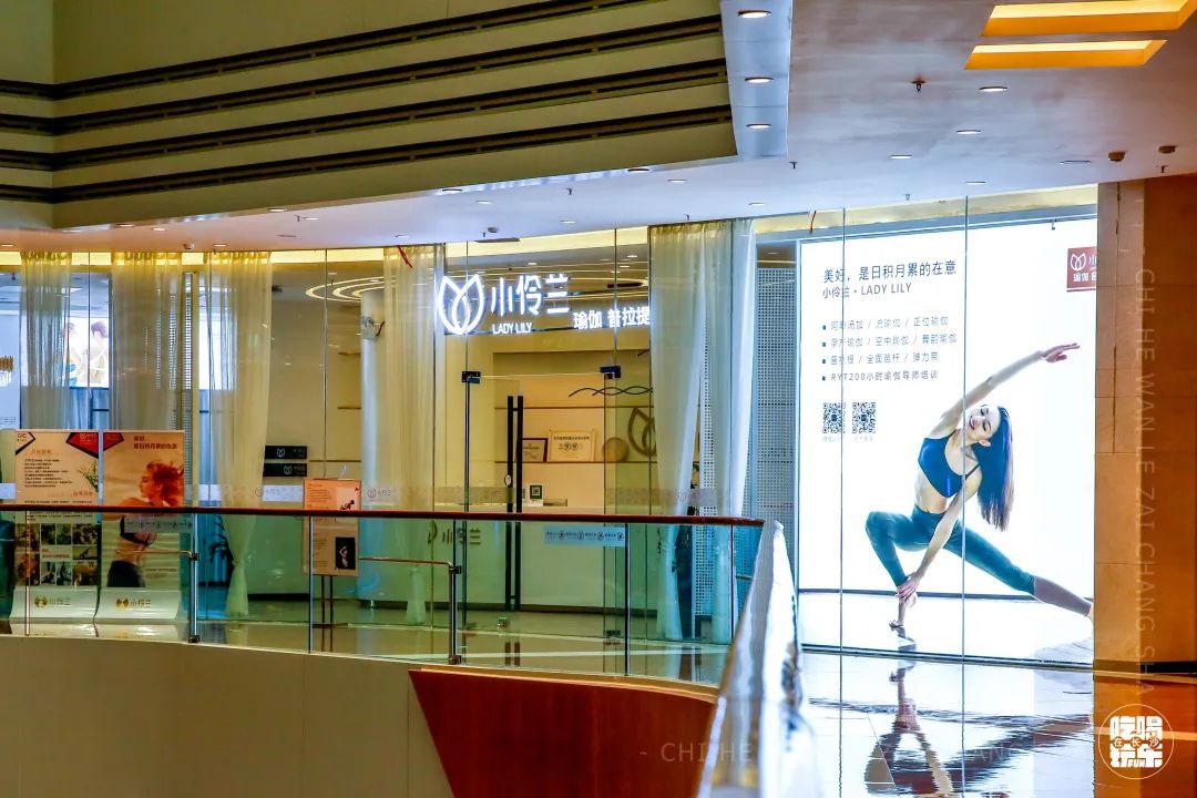 乘风破浪的姐姐们重头出发,乘风破浪的姐姐们要开始重头组团