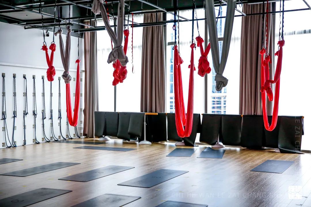 乘风破浪的姐姐们重头出发,乘风破浪的姐姐们要开始重头组团