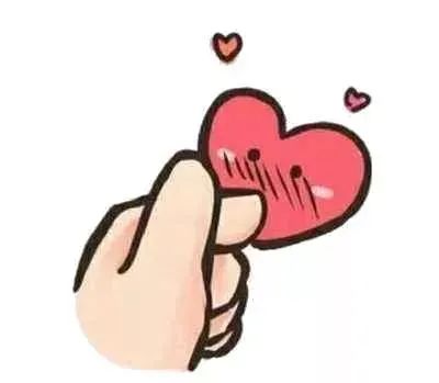 关于生育保险的问题可以咨询哪里,划重点的常识是什么