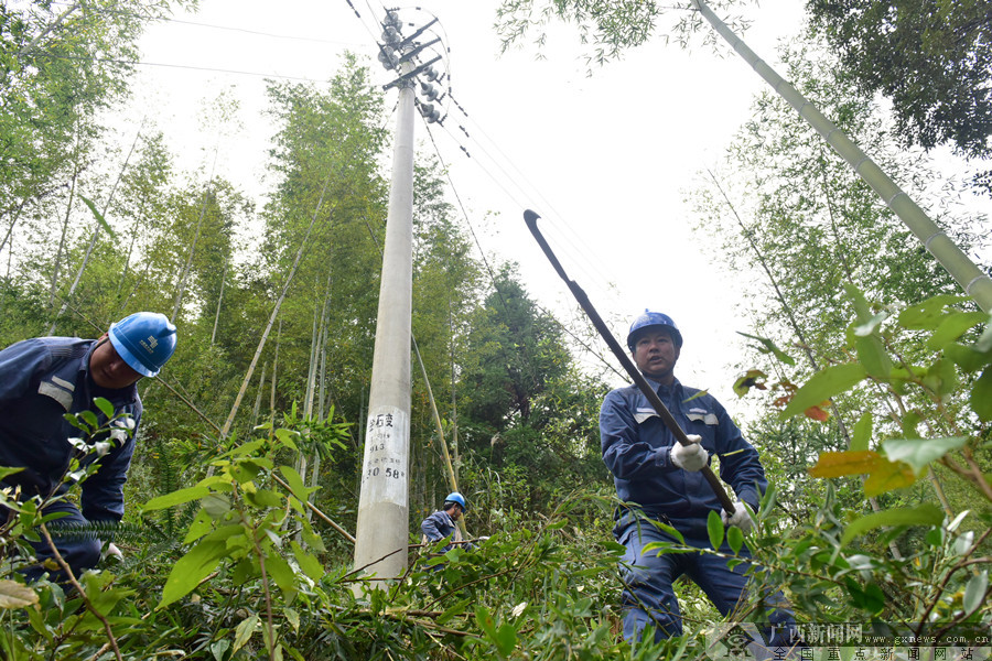 兴安金石三兄弟：只为守护大山点点灯火