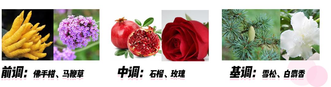 dior经典女士香水五件套,dior香水爆款