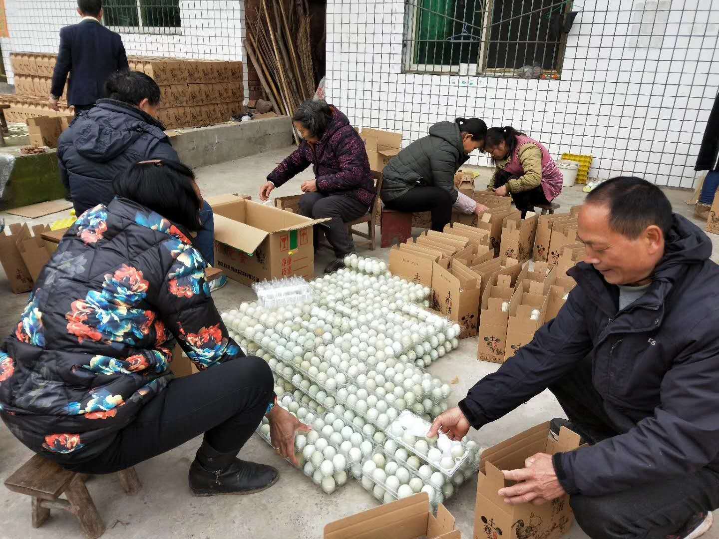 走向我们的小康生活采访组,走向我们的小康生活微电影