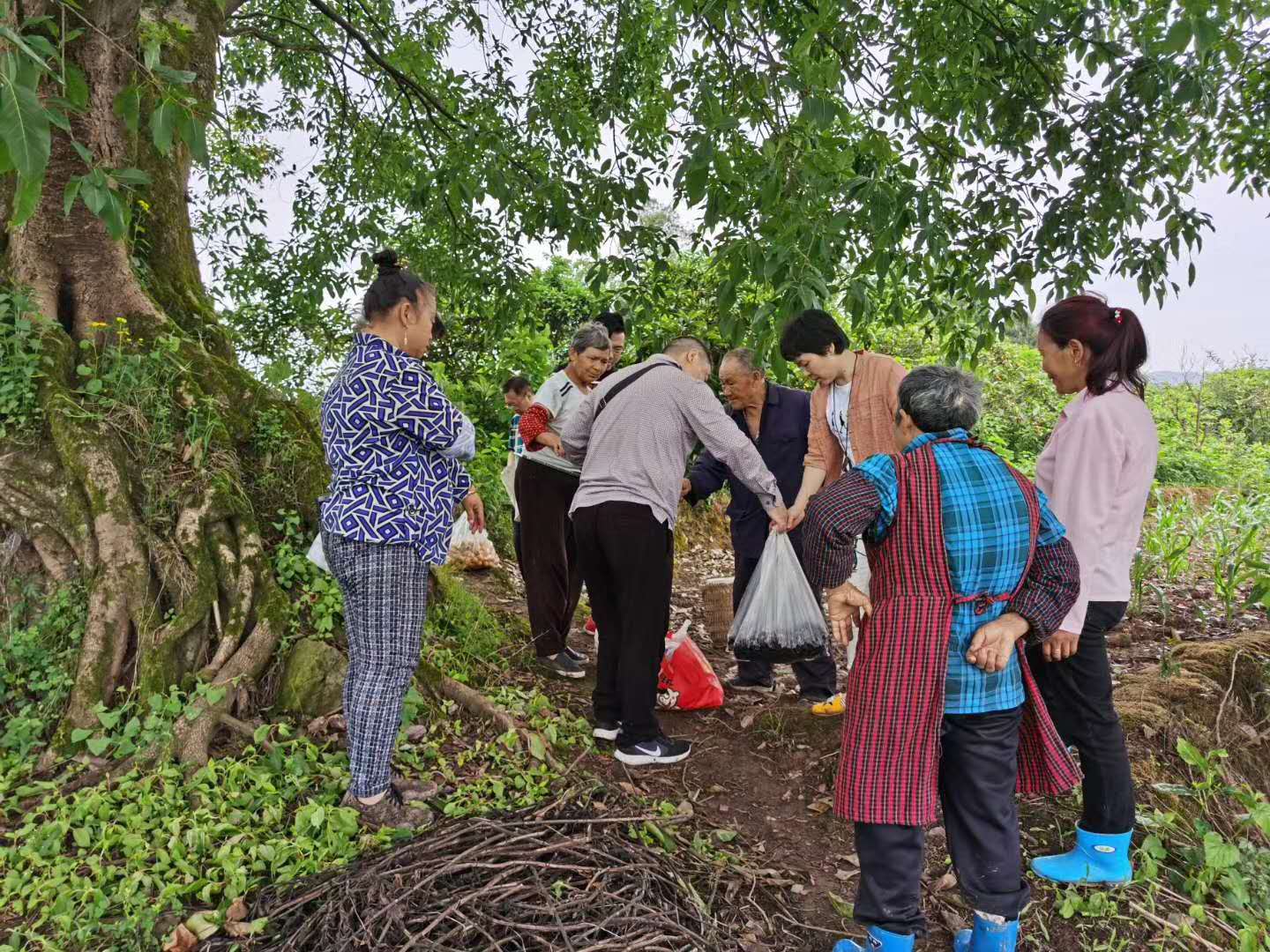 走向我们的小康生活采访组,走向我们的小康生活微电影